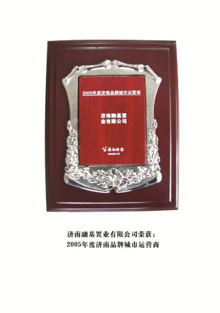 融基公司（2005年度濟(jì)南品牌城市運(yùn)營商） 拷貝